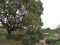 Aichi